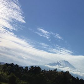 風薫る五月 風薫る五月