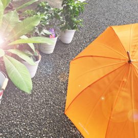 雨の日があれば必ず晴れの日が来る。 雨の日があれば必ず晴れの日が来る。