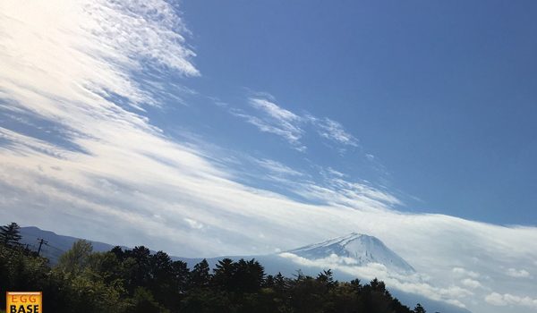 風薫る五月