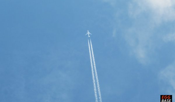 楽しいカーライフが送れる日のために