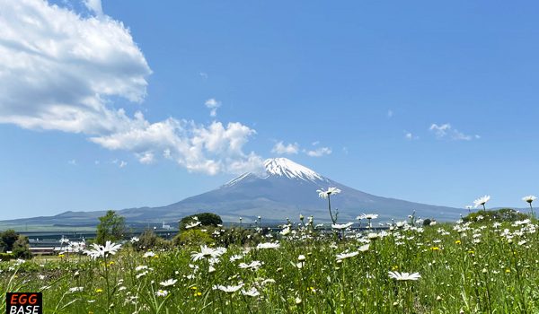 GW営業のお知らせ